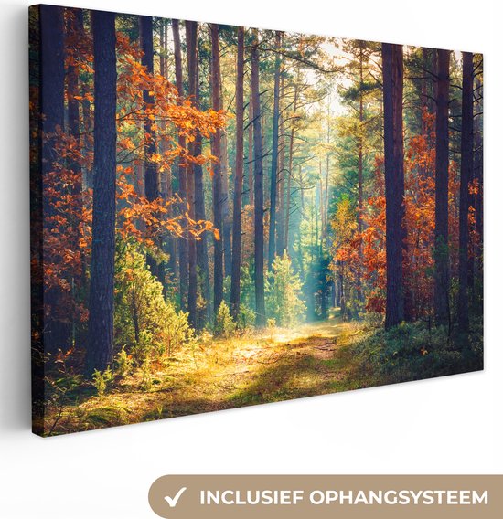 Canvas - Schilderij natuur - Bos - Bladeren - Natuur - Herfst - Wanddecoratie - Foto op canvas - 180x120 cm - Slaapkamer - Interieur