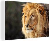 Portrait d'une tête de lion frappante 140x90 cm - Tirage photo sur toile (Décoration murale salon / chambre)