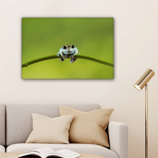 Tableau Grenouille - Branche - Vert - 60x40 cm - Décoration murale