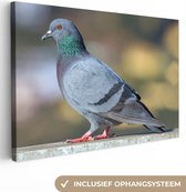 Toile Peinture Duif - Vogel - Clôture - 30x20 cm - Décoration murale