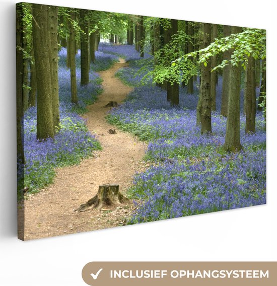 Chemin forestier aux fleurs bleues Toile 80x60 cm - Tirage photo sur toile (Décoration murale salon / chambre)