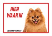 Bord | Waakbord | "Hier waak ik" | Pomeriaan | 30 x 20 cm | Dikte: 1 mm | Dwergkeeshond | Keeshond | Spitz | Pomeranian | Waakhond | Hond | Betreden op eigen risico | Polystyreen | Rechthoek | Witte achtergrond | 1 stuk