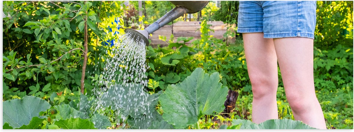 Poster Glanzend – Tuin - Bloemen - Planten - Gieter - Water - Groen - 120x40 cm Foto op Po