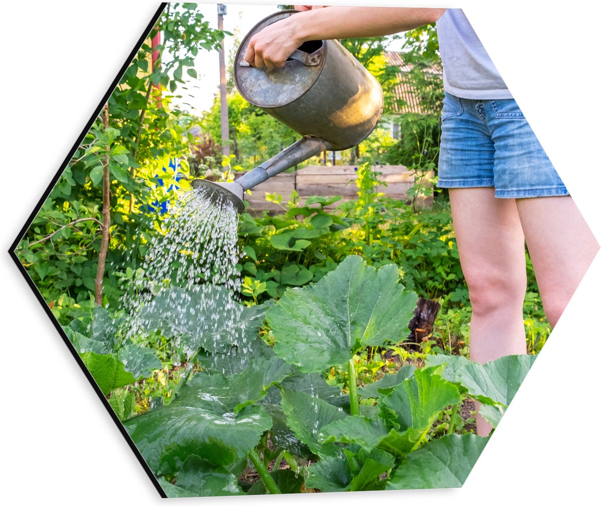 Dibond Hexagon - Tuin - Bloemen - Planten - Gieter - Water - Groen - 30x26.1 cm Foto op He