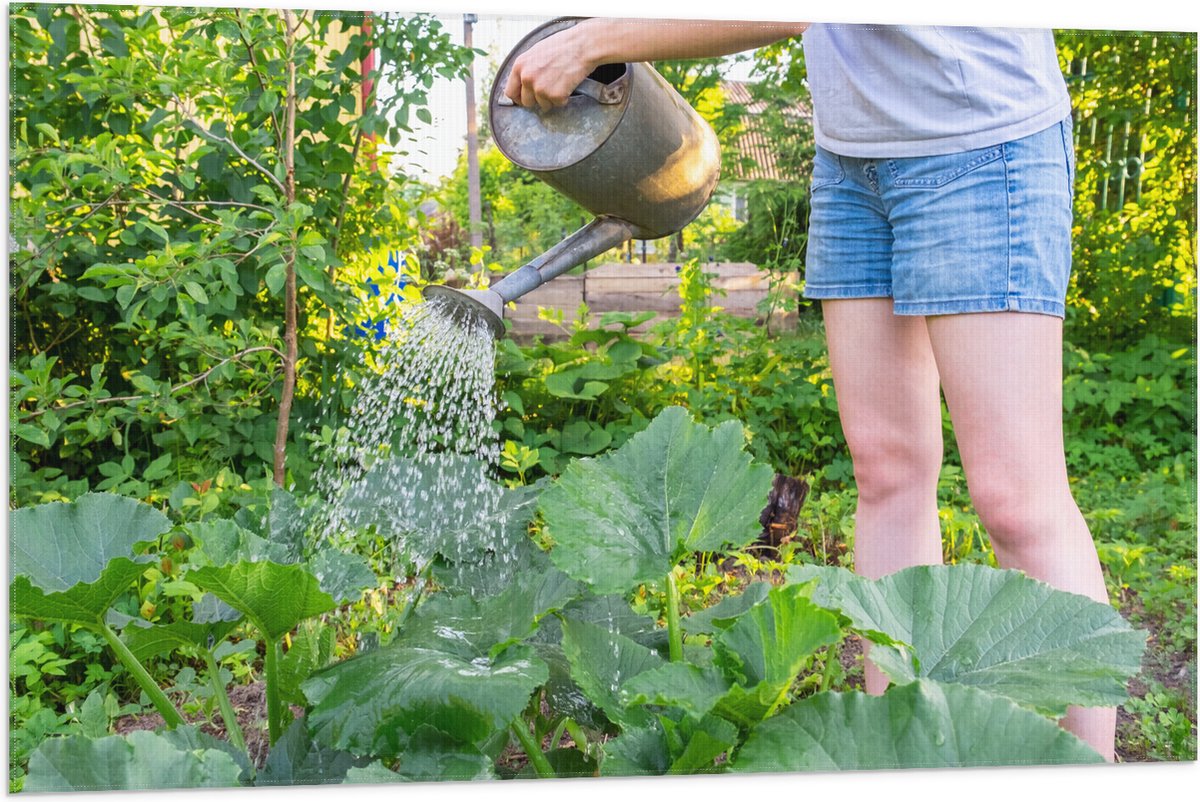 Vlag - Tuin - Bloemen - Planten - Gieter - Water - Groen - 105x70 cm Foto op Polyester Vla