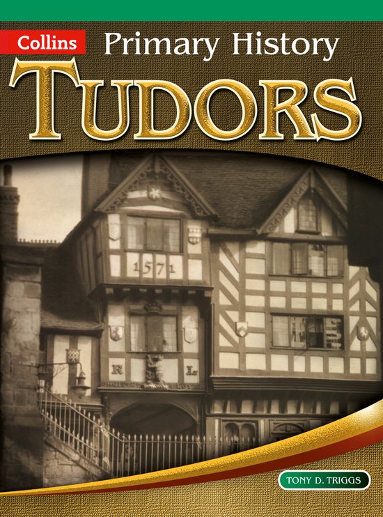 Primary History Tudors