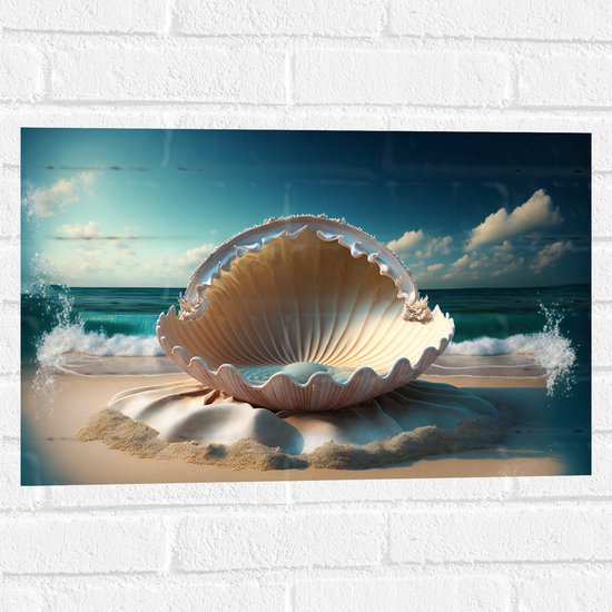 Muursticker - Schelp - Zee - Strand - 60x40 cm Foto op Muursticker