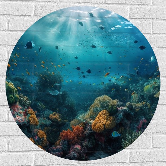 Muursticker Cirkel - Oceaan - Zee - Dieren - Vissen - Koraal - Kleuren - 80x80 cm Foto op Muursticker