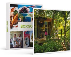 Bongo Bon -3 Gezellige Dagen Met Het Gezin In Een Boomhut In Lelystad- Cadeaukaart