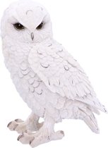 Nemesis Now - Snowy Watch Grote Witte Uil Ornament Figuur 20cm