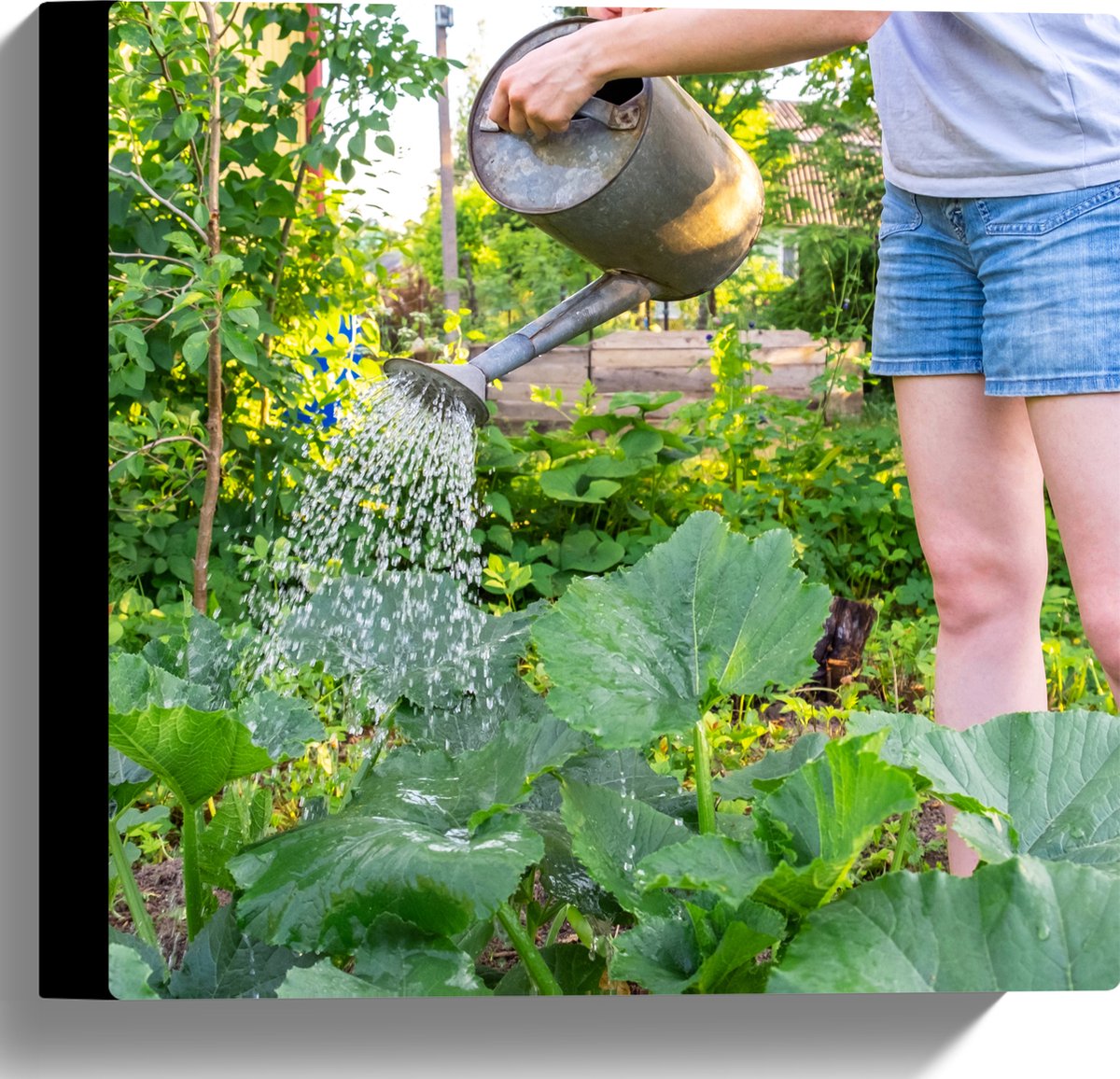 Canvas - Tuin - Bloemen - Planten - Gieter - Water - Groen - 30x30 cm Foto op Canvas Schil