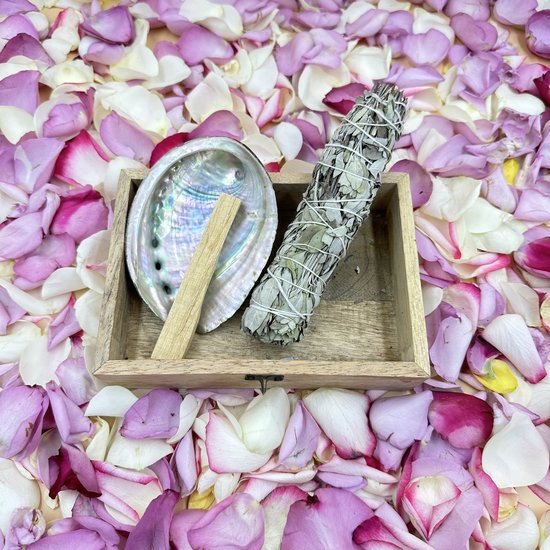 Abalone schelp - Salie Smudge- Palo Santo | Zachte Engelen Kracht
