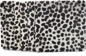 Koeienhuid onderzetters - vierkant - zwart/wit - dalmatiër - cheetah - dierenprint - 6 stuks