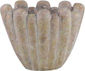 PTMD Minter Bronze pot de ciment bol organique forme ovale h