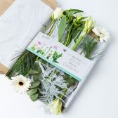 Bloomgift | Winterse bloemen | Winterfeest | Origineel brievenbuscadeau