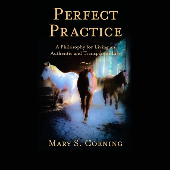 Perfect Practice - cover