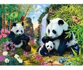 Diamond painting – panda's – 50x40 cm – vierkante stenen