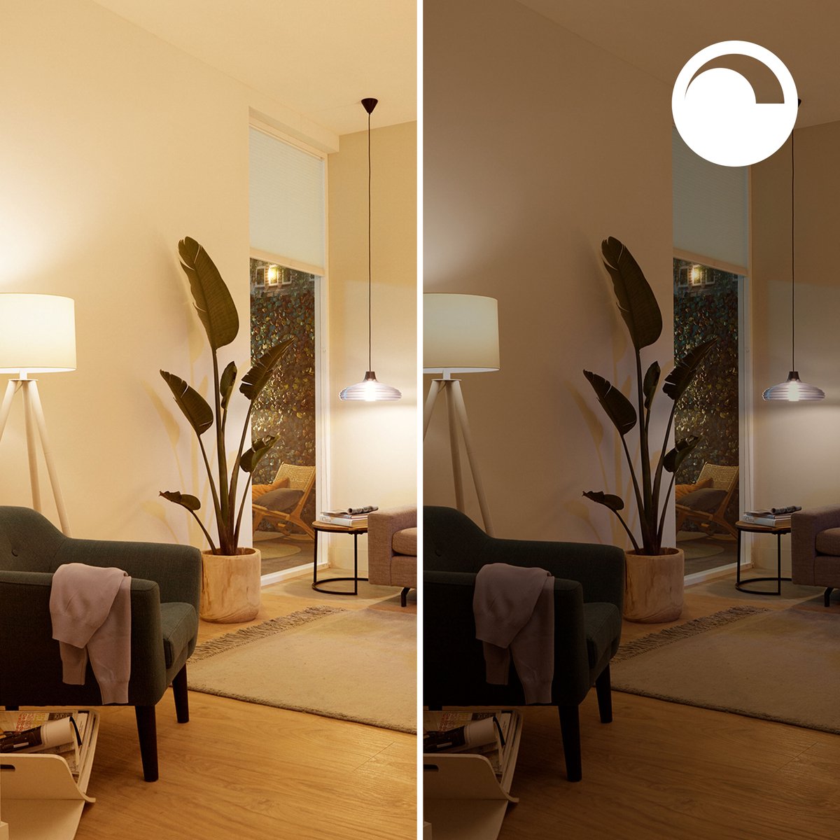 Philips Smart Lighting - Globe - Slimme LED-Verlichting - Gekleurd en Wit Licht - E27 - 75W - Mat - Wi-Fi