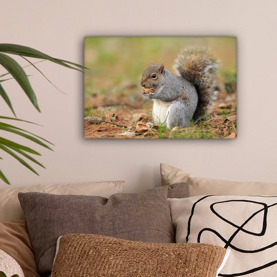 Tableau sur toile Écureuil avec cacahuète - 30x20 cm - Décoration murale