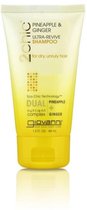 Giovanni Cosmetics - 2chic® Ultra-Revive Shampoo with Pineapple & Ginger 250 ml