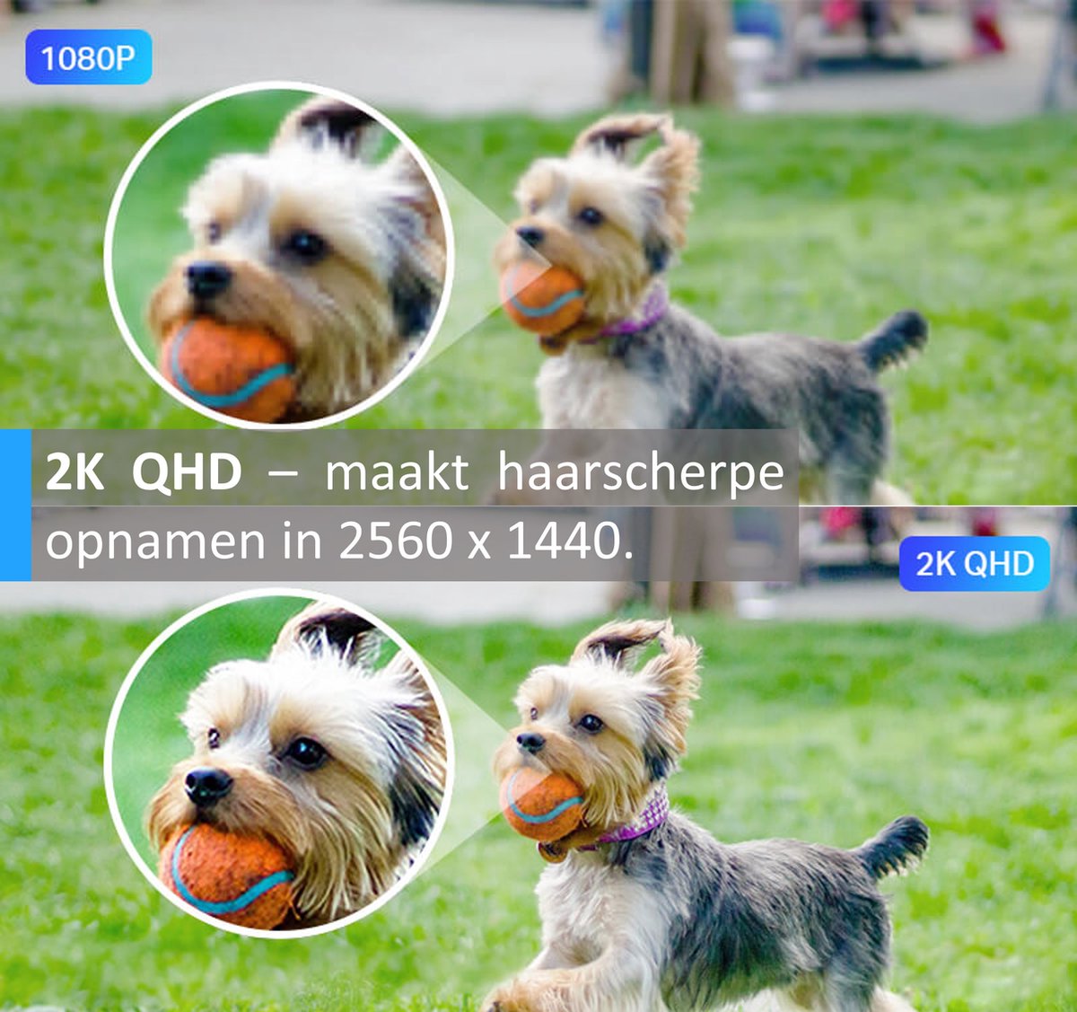 Tapo C320WS Beveiligingscamera buiten - 2K QHD - IP66- WiFi Camera