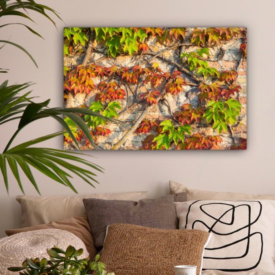 Feuilles d'Hedera rouges et vertes sur un mur de pierre Toile 180x120 cm - Tirage photo sur Toile (Décoration murale salon / chambre) XXL / Grand format!
