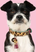 DWAM Dog with a Mission – Halsband hond – Hondenhalsband – Dierenprint Rood – XXXS – Leer – Halsomvang tussen 15-21 x 2 cm – Lou Lou