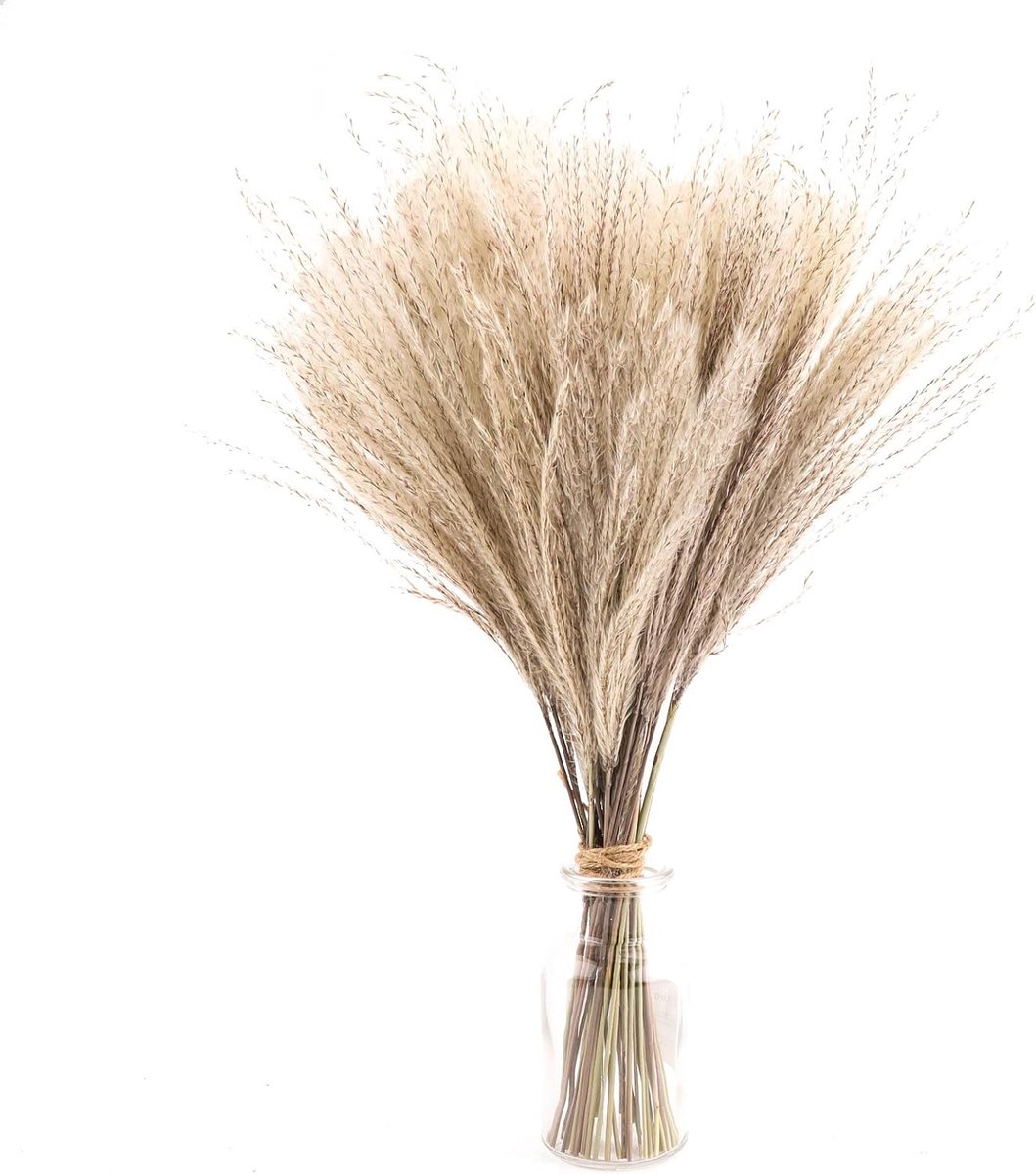 meerklose 50 stuks wit, natuurlijk gedroogd pampasgras kunstzinnige 40 cm boho-huisdecoratie; natuurlijke Phragmites Communis, gedroogde bloemen voor vazen wit bloemenboeket