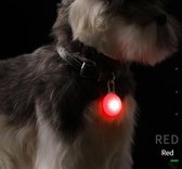 Veiligheidslamp Voor Hond I LED Honden Cadellight I Dierenlampje I Lampje Hondenhalsband I Rood