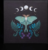 Something Different - Luna Moth Light Up Canvas afbeelding - Multicolours