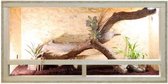 Terrarium van hout - Extra Large - 120 cm x 60 cm x 60 cm