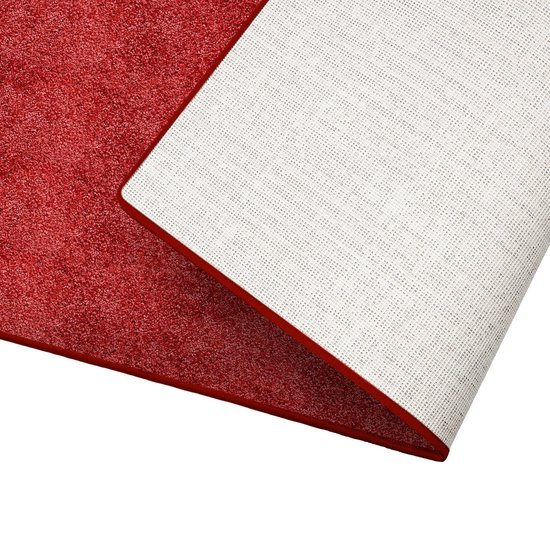 Tapijt Hoogpolig 170 x 250 cm Antislip Soft Fluffy Vloerkleed