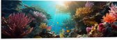 Dibond - Onderwater - Oceaan - Zee - Koraal - Vissen - Kleuren - Zon - 120x40 cm Foto op Aluminium (Wanddecoratie van metaal)