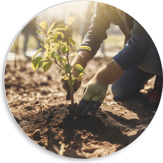 PVC Schuimplaat Muurcirkel - Tuinieren - Planten - Zand - Handcshoenen - 30x30 cm Foto op Muurcirkel (met ophangsysteem)