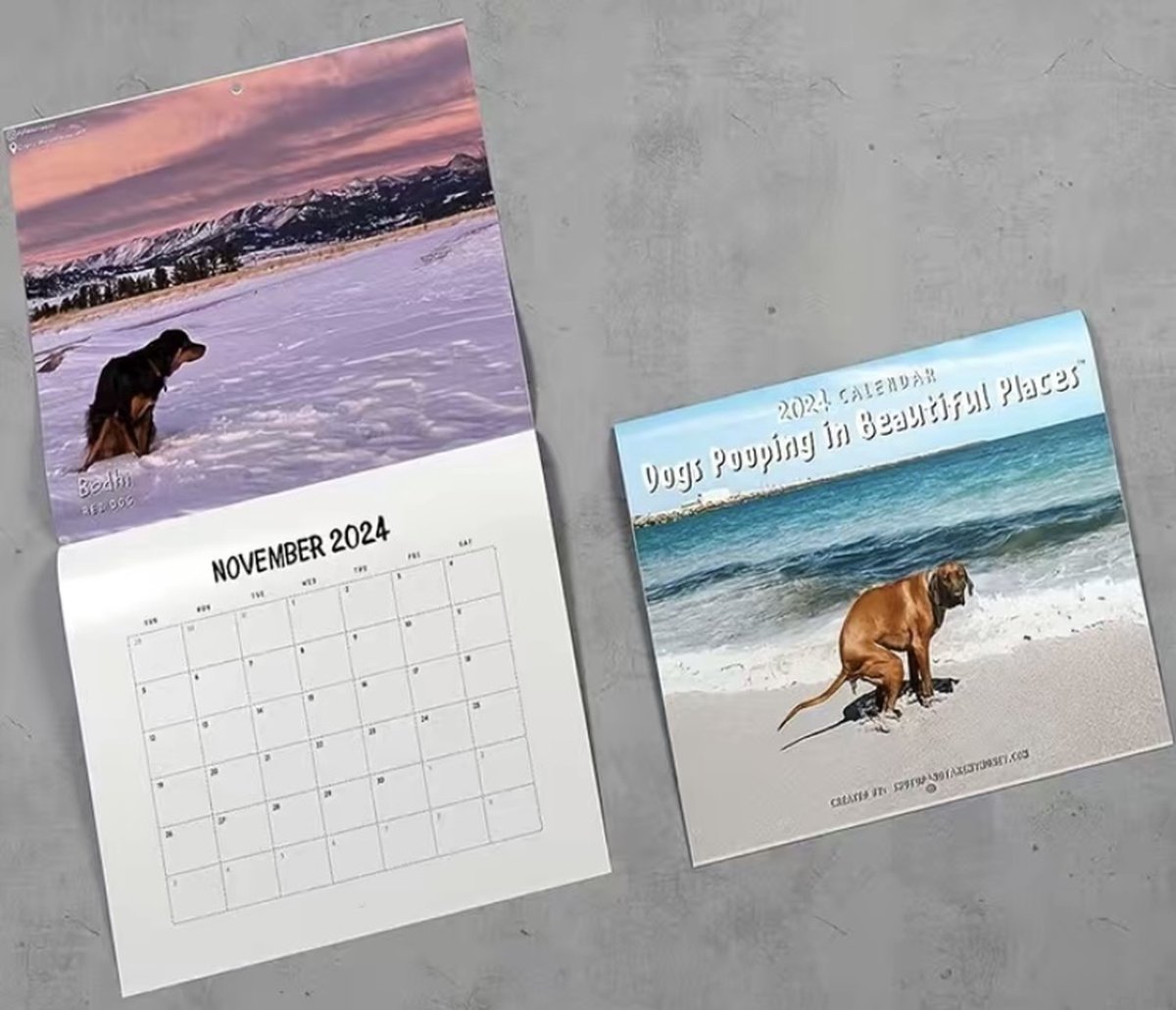 Animal drôle Calendrier 2024 - 2025: Calendrier sur trois ans, 30 images de  Labradors amusants, de janvier 2024 à juin 2026, papier épais et robuste
