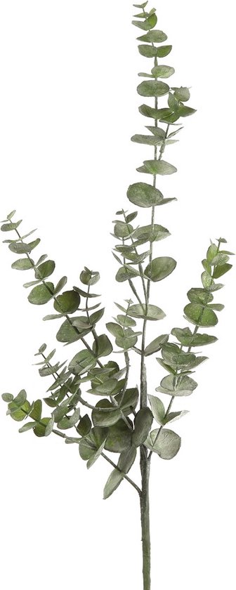 Kunstplant Tak Eucalyptus | Groen | 80 cm