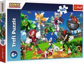 Trefl Trefl - Puzzles - 160" - Sonic and friends / SEGA Sonic The Hedgehog"