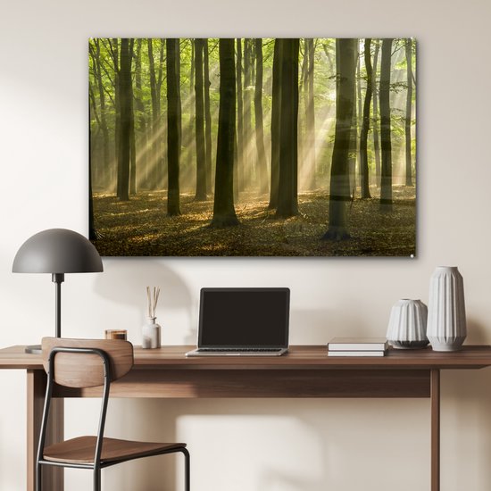 La lumière du soleil d'automne brille sur les vieux arbres Plexiglas 120x80 cm - Tirage photo sur Glas (Décoration murale plexiglas)