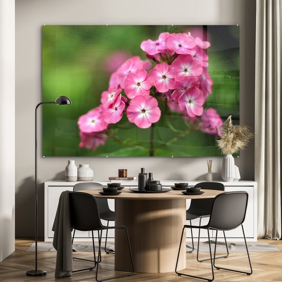 Fleurs flammes roses sur fond vert Plexiglas 180x120 cm - Tirage photo sur Glas (décoration murale plexiglas) XXL / Groot format!
