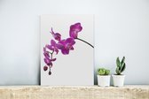 MuchoWow® Glasschilderij 30x40 cm - Schilderij acrylglas - Orchidee tegen witte achtergrond - Foto op glas - Schilderijen