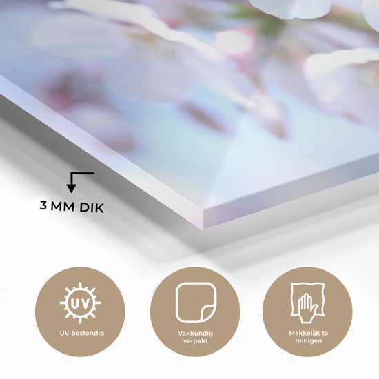 MuchoWow® Peinture sur verre 60x40 cm - Peinture sur verre acrylique - Fleurs - Sakura - Branche - Branches fleuries - Photo sur verre - Peintures