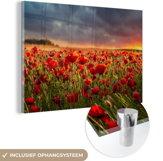 MuchoWow® Glasschilderij 90x60 cm - Schilderij acrylglas - Zonsondergang - Klaprozen - Rood - Bloemen - Veld - Natuur - Foto op glas - Schilderijen