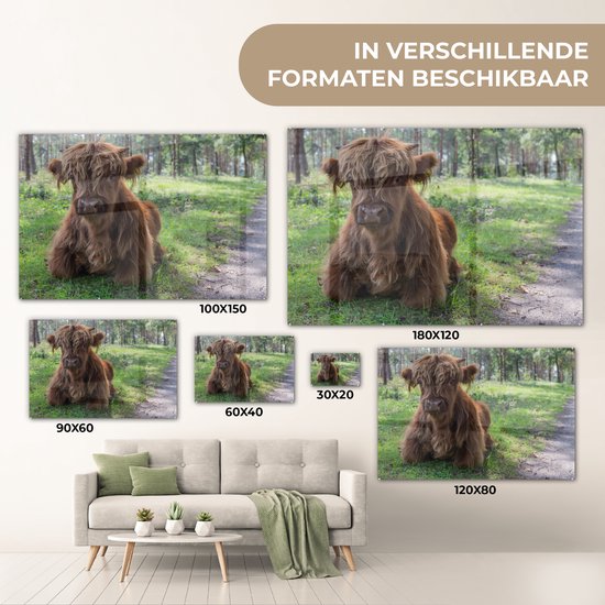 MuchoWow® Glasschilderij 180x120 cm - Schilderij acrylglas - Schotse Hooglander - Pad - Dieren - Foto op glas - Schilderijen