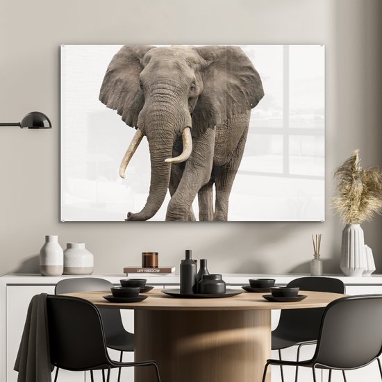 MuchoWow® Peinture sur Verre - Éléphant - Enfants - Garçons - Animaux - Filles - 90x60 cm - Peintures sur Verre Acrylique - Photo sur Glas