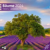 Ackermann Kunstverlag: Bäume Kalender 2024 - 30x30