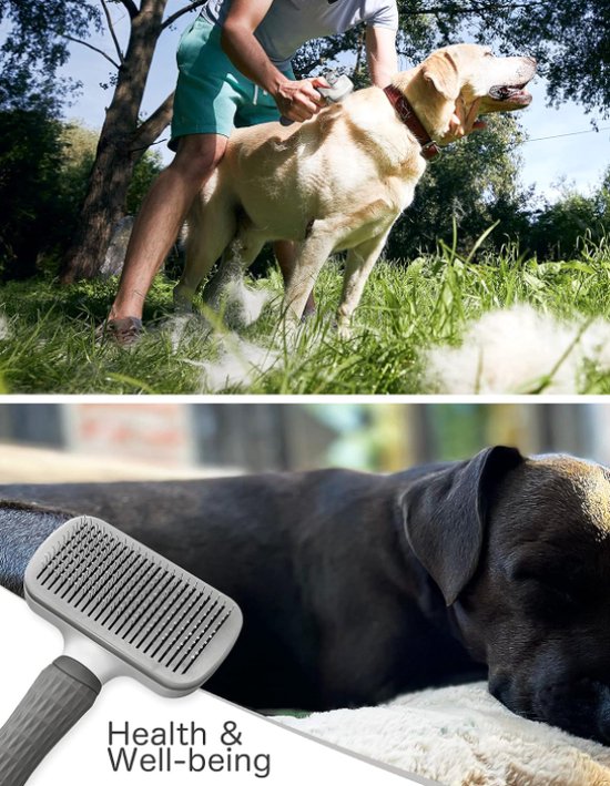 Een man gebruikt een grijze hondenborstel op een hond in het gras. Onderaan, een borstel naast een slapende hond.