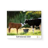 XL 2024 Kalender - Jaarkalender - Kalf