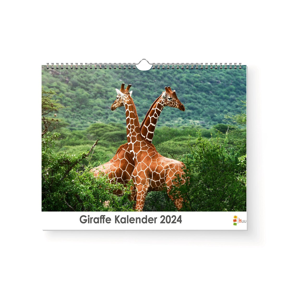 XL 2024 Kalender - Jaarkalender - Giraffe