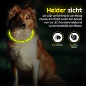 LED Halsband Hond - Lichtgevende Halsband Hond - Geel - M - USB Oplaadbaar - 50cm