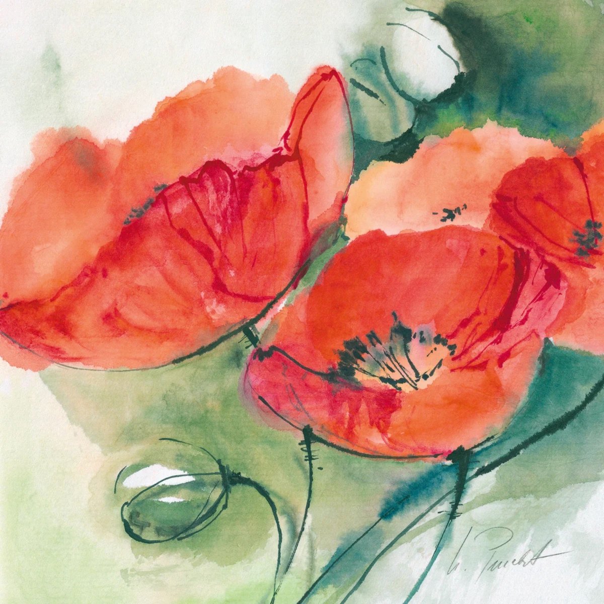 PGM Kunstdruk Marta Peuckert - Mohnblüten 21x21cm Divers